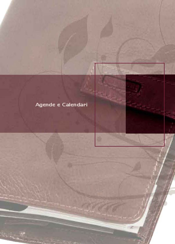 Catalogo Generale Saura 2007-2008_Pagina_015